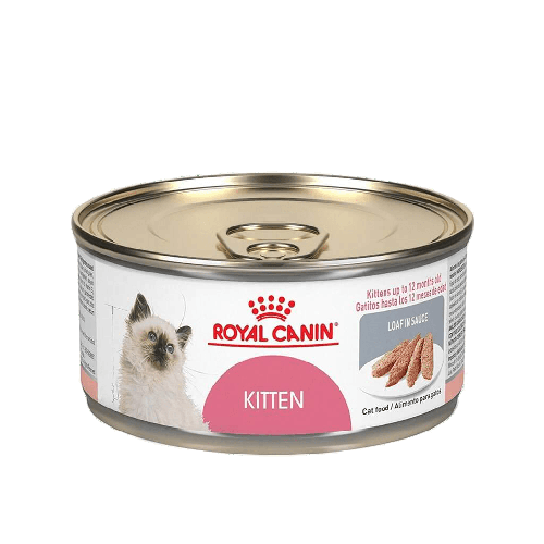 Royal Canin Lata Kitten