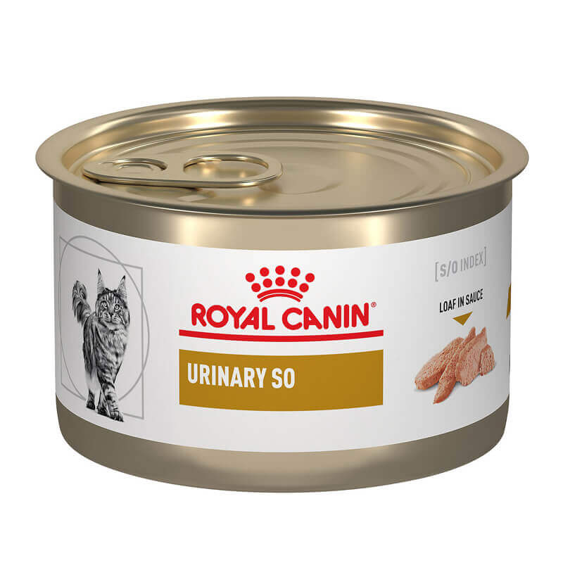 Royal Canin Lata Urinary s/o Felino