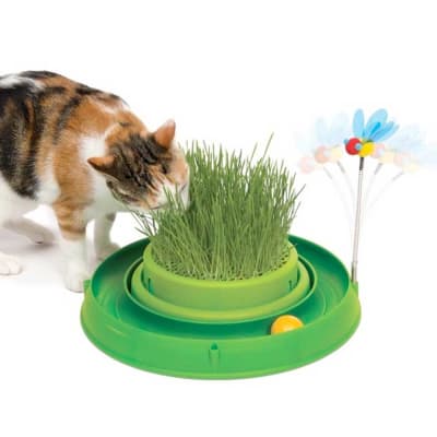 Juguete Gato Cat Play Circuito 3 en 1 con Pasto