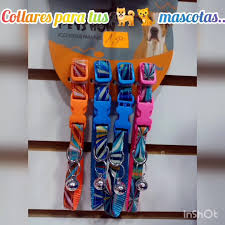 Collar para Gatos Étnicos Colores Surtidos con Cascabel Unidad
