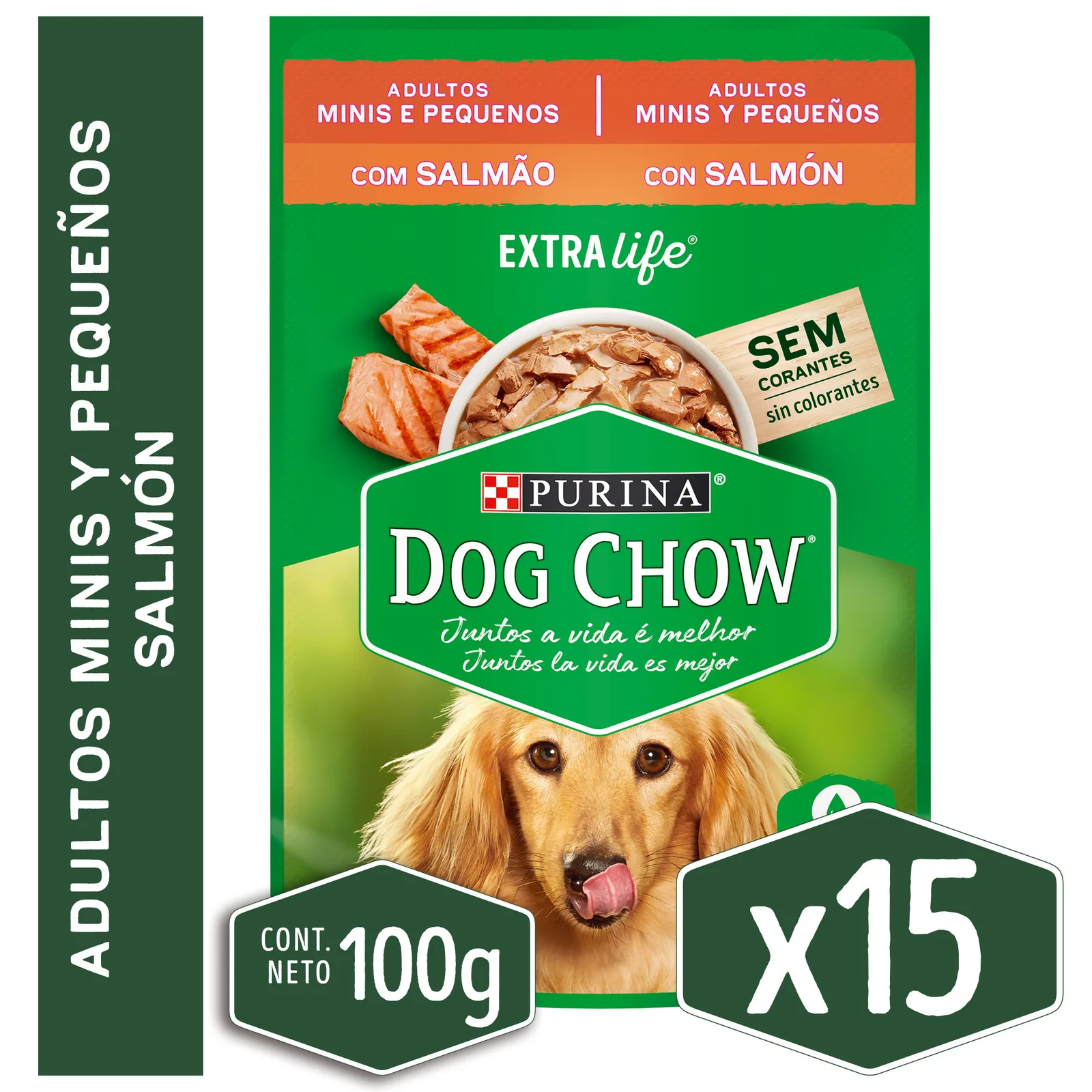 Sachet Dog Chow Festival Salmón Raza Pequeña x15