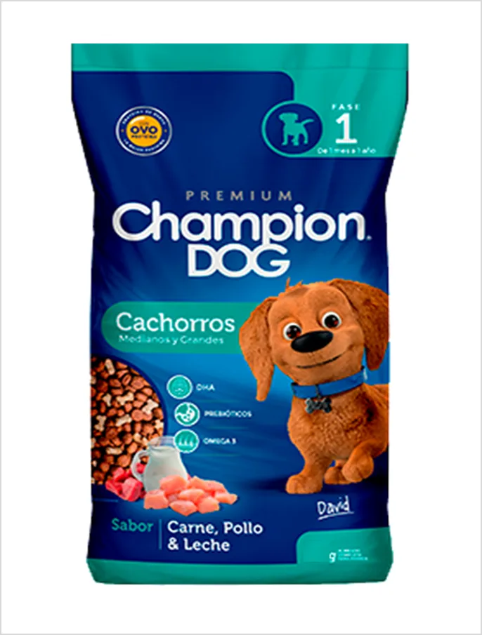 Champion Dog Cachorro