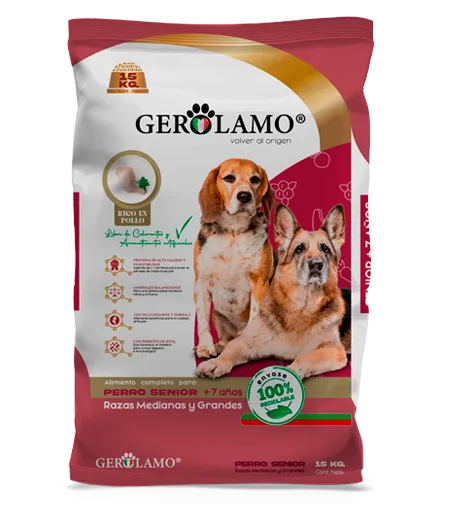 Gerolamo Perro Senior Raza Mediana y Grande