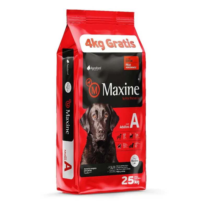 Maxine perro adulto 21+