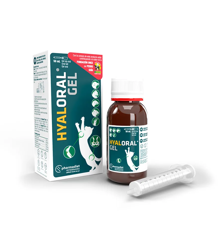 Hyaloral Gel