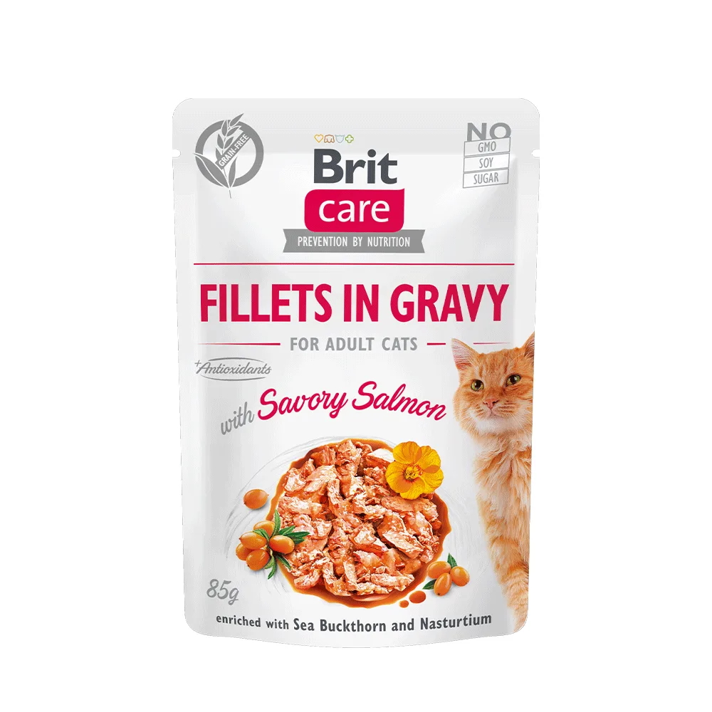 Sachet Gato Brit Care Fillets in Gravy Savory Salmon