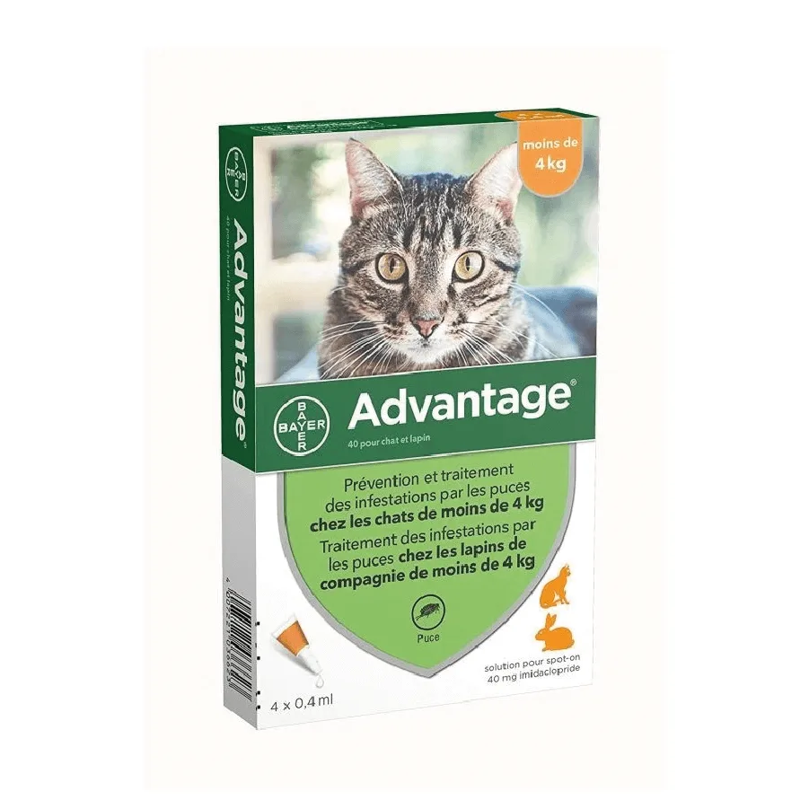 Pipeta Advantage Gato Hasta
